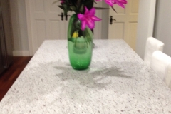 Leopard White Granite Island Top