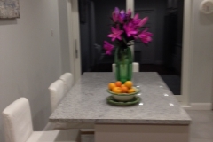 Leopard White Granite Island Top